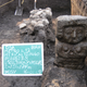 Illustration for article titled Archaeologists Discover Aztec Ritual Skulls Under Mexico City's Subway